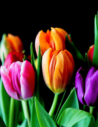 Thelma E. (Rogge) Hudson Obituary